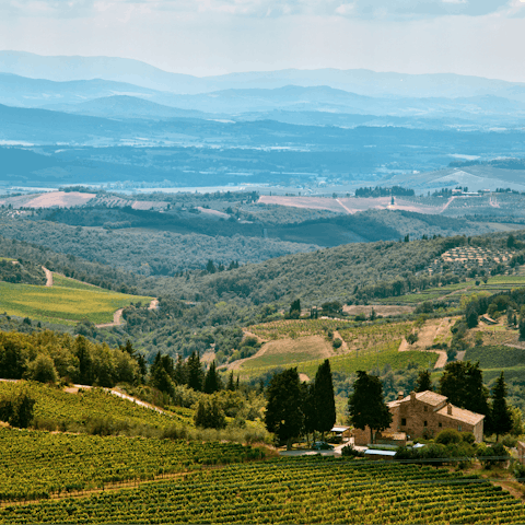 Discover the world-renowned Chianti wine country