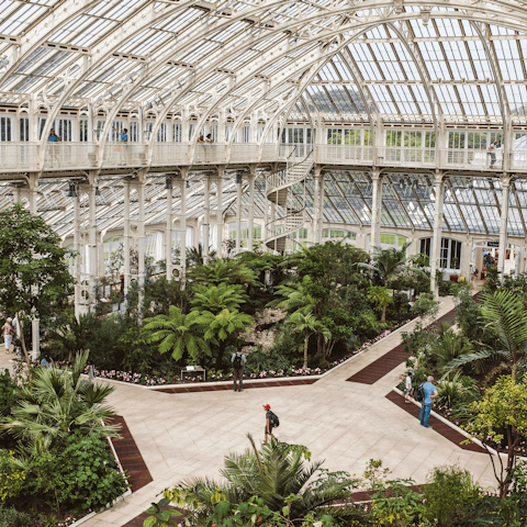 Walk forty minutes north through Richmond to the stunning Kew Gardens