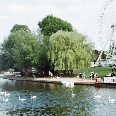 Enjoy leisurely riverside strolls and sightseeing