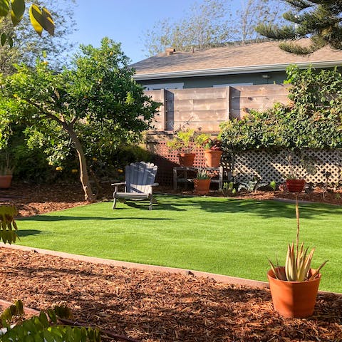 Shake up some cocktails to enjoy in the garden