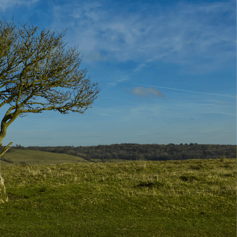Enjoy a hike through the Chiltern Hills, a short drive away