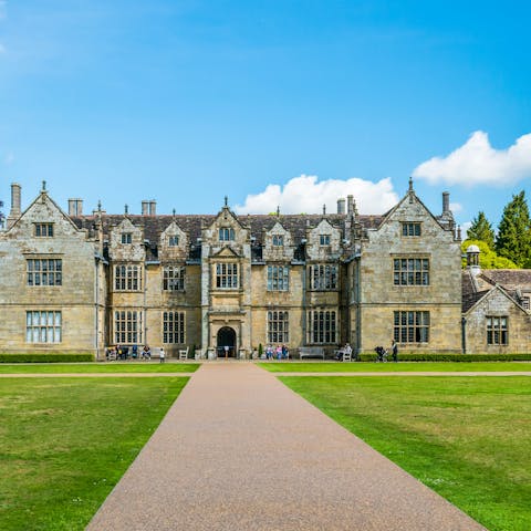 Explore Wakehurst's wild botanic garden, twenty minutes away
