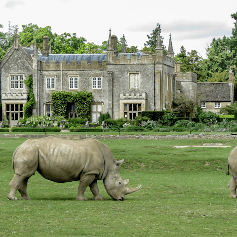 Spend an afternoon exploring the Cotswold Wildlife Park