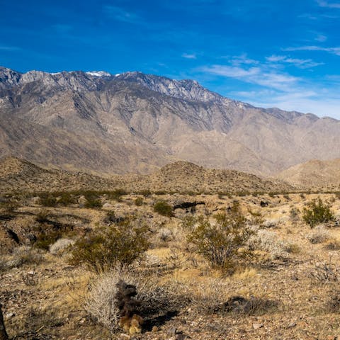 Head off hiking in the Indian Canyons, just an eight-minute drive away