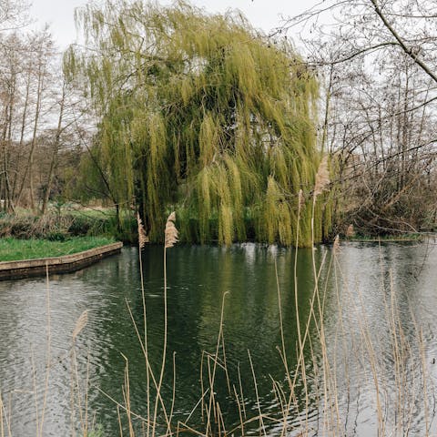 Watch the wildlife or go fishing on the River Bure