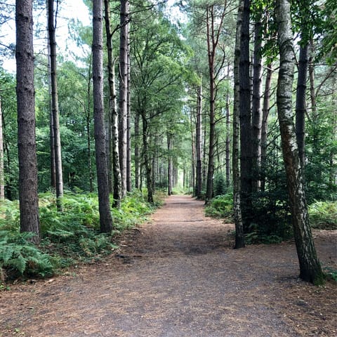 Explore the stunning South Downs National Park, right on your doorstep