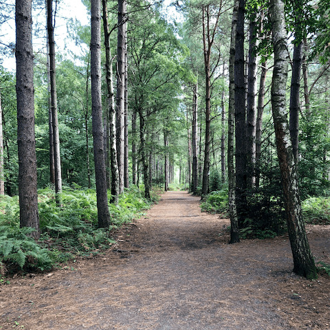 Explore the stunning South Downs National Park, right on your doorstep
