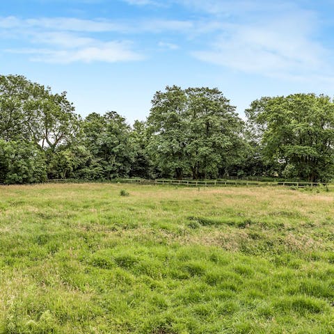 Gaze out at the wide expanse of open green space from the front door
