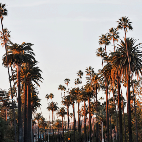 Discover the hidden gems of this iconic part of sunny California