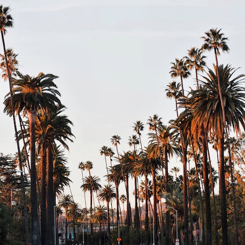 Discover the hidden gems of this iconic part of sunny California