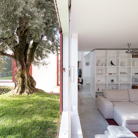 Open the doors and savour the refreshing simplicity of this home