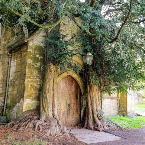Drive thirty minutes north to Stow-on-the-Wold, the highest town in the Cotswolds
