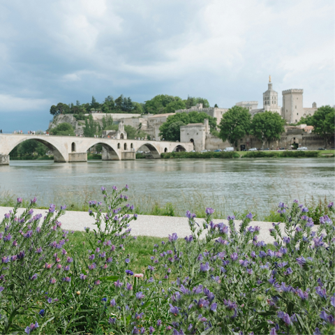 Take a day trip to Avignon, about an hour by car