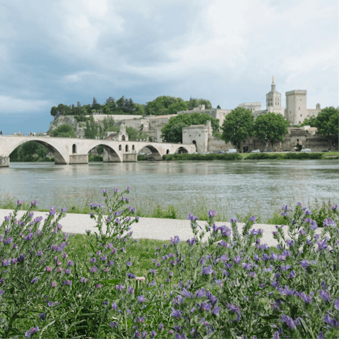 Take a day trip to Avignon, about an hour by car