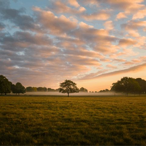 Start your day with a walk in Richmond Park