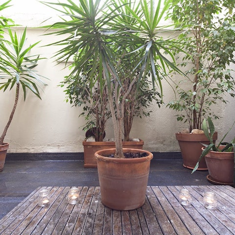 Open the doors onto the leafy patio and watch the sunset overhead