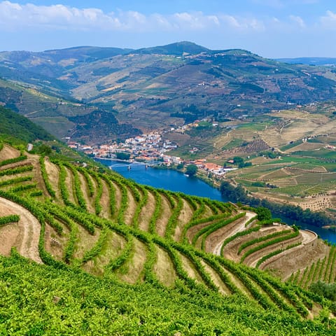 Head upstream on a wine tasting tour, stopping off at local vineyards that line the route