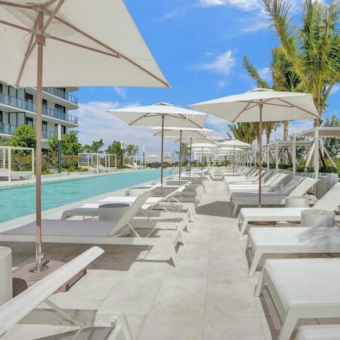 Soak up the Florida sun on a lounger next to the shared pool