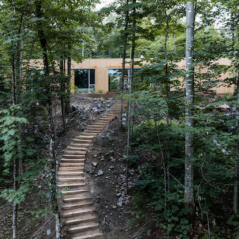 Discover the walking trails off your doorstep