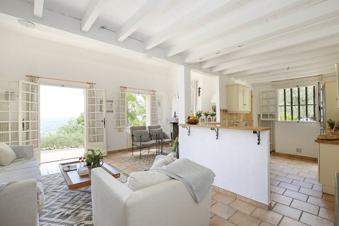 If You Had a Vineyard