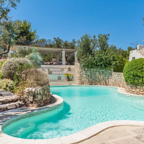 Dip your toes in the communal pool and lose yourself in a good book