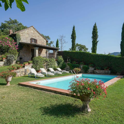 Beat the heat with a dip in the swimming pool