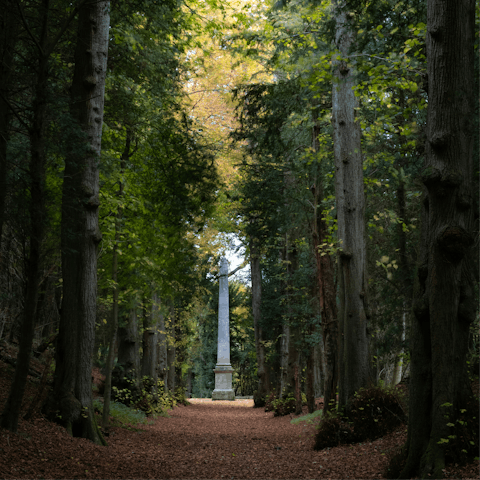 Venture thirty minutes west to explore the natural beauty of the Chiltern Hills