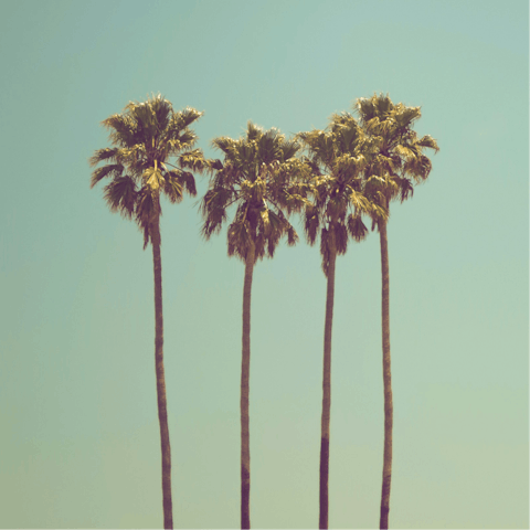 Soak up the spirit of LA Living from Sunset Strip