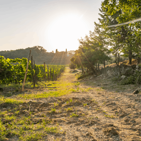 Visit vineyards – you'll be between the wine towns of Radda and Gaiole in Chianti
