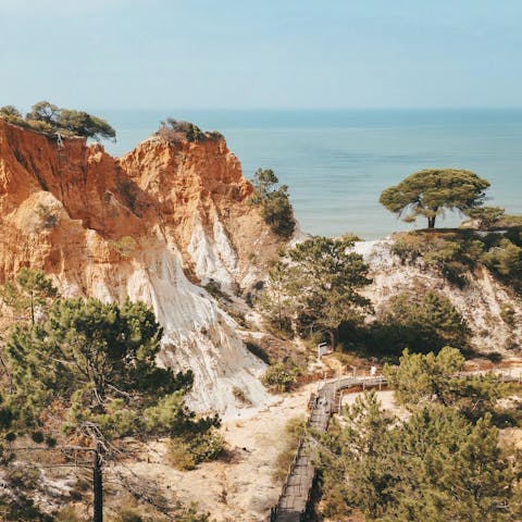 Experience the natural beauty of the Algarve from Olhos d’Agua