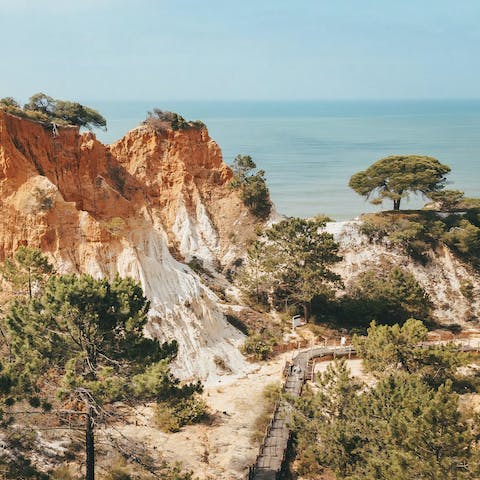 Experience the natural beauty of the Algarve from Olhos d’Agua