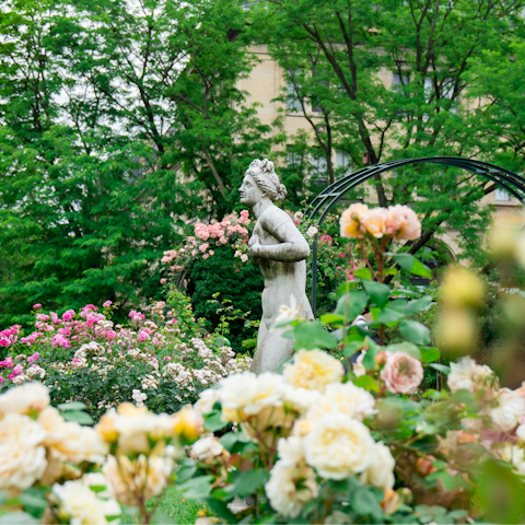 Stroll around the Jardin Des Plantes for a dose of nature, 25-minute walk away