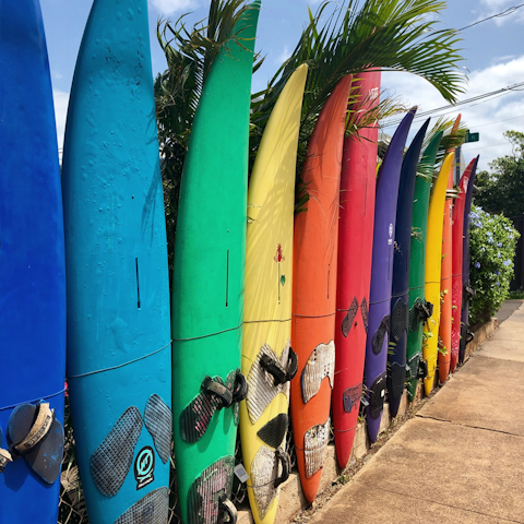 Spend a day surfing at La Concha Beach