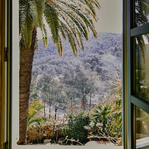 Throw open the windows to reveal wonderfully verdant views