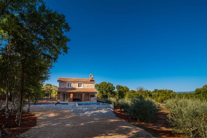 The Spotted House