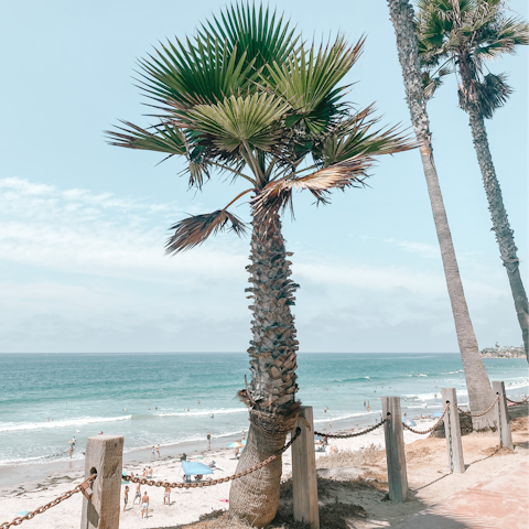 Stroll to Mission Beach – it's a minute or two away