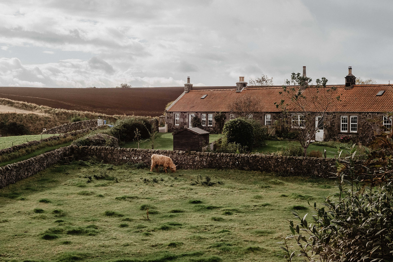 Scottish Seaview Sanctuary