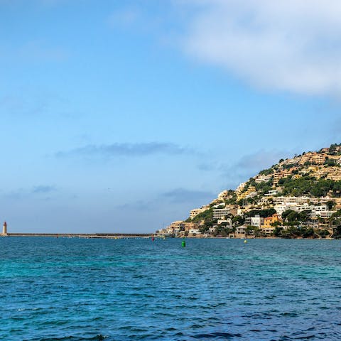 Gaze in awe at the backdrop of rugged pine clad mountains
