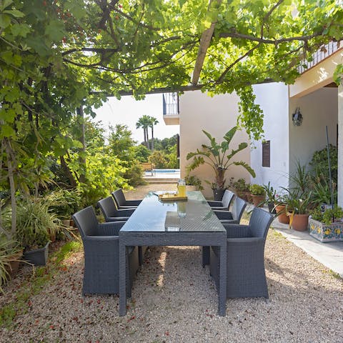 Tuck into your favourite barbecue dishes under the leafy pergola