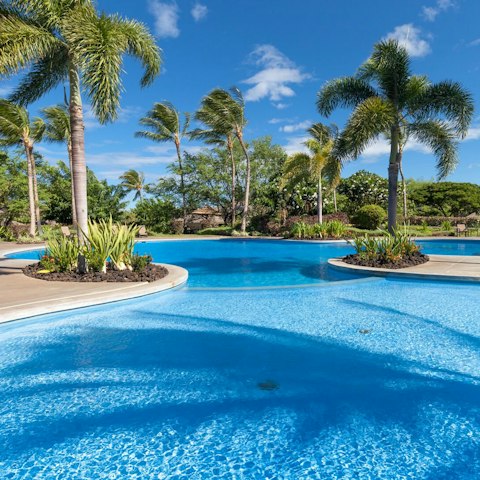 Enjoy the resort amenities, like the sunny shared pool