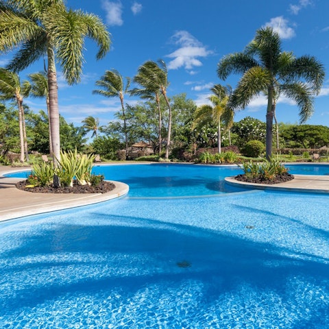 Enjoy the resort amenities, like the sunny shared pool