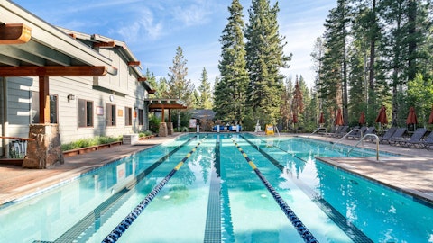 Swim laps in a sun-lit pool ringed by tall pines