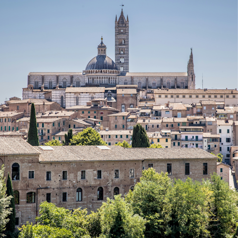 Plan a delightful day trip to Siena (fifty minutes away)