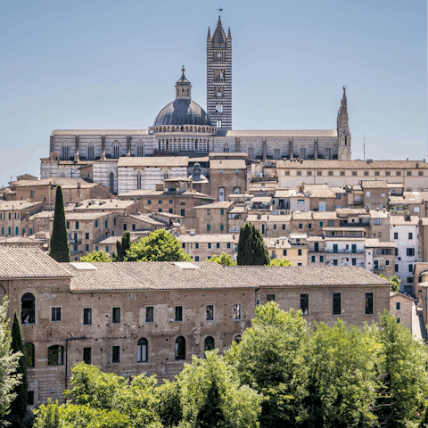 Plan a delightful day trip to Siena (fifty minutes away)