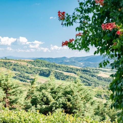 Stay in the heart of Umbria, overlooking rolling hills and vineyards