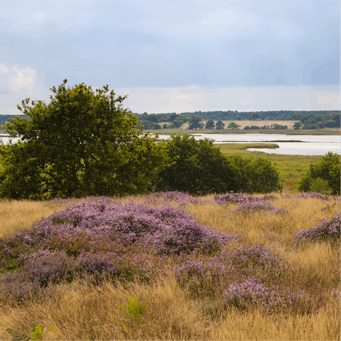 Hike the Suffolk Coast and Heaths from your home in this incredible region