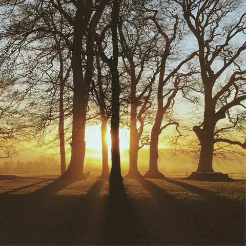 Begin your day with a refreshing hike through nearby Broadway