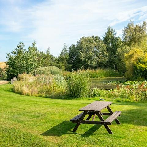 Enjoy fourteen acres of farm grounds