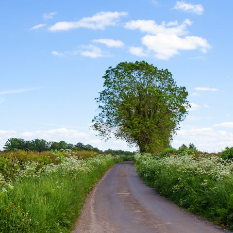 Strap on your walking boots and explore the many tranquil trails