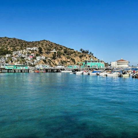 Explore Catalina Island and Avalon Bay